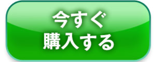 今すぐ購入する