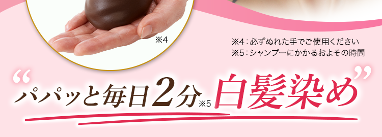 パパッと毎日2分白髪染め