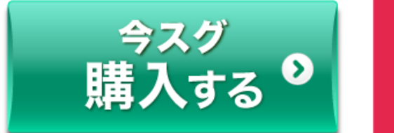 今スグ
購入する