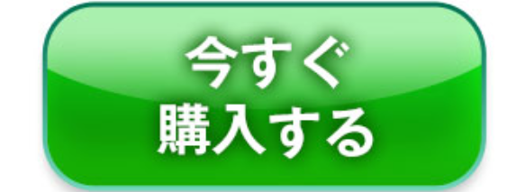 今すぐ購入する