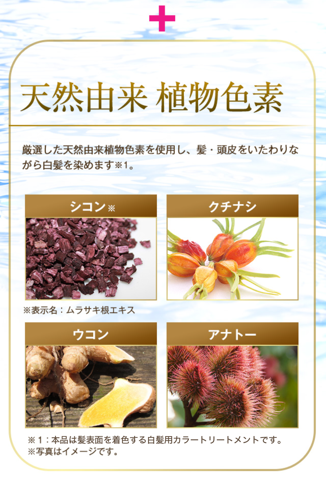 天然由来 植物色素【シコン／クチナシ／ウコン／アナトー】