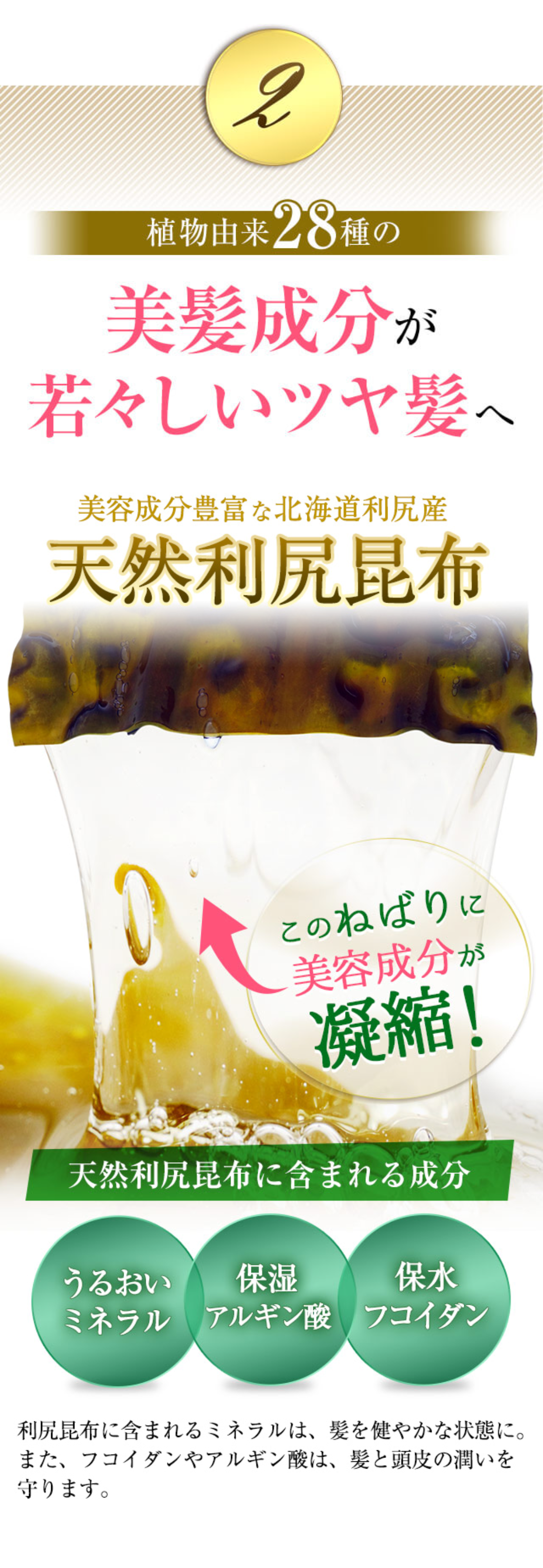 ②植物由来28種の美髪成分が若々しいツヤ髪へ
美容成分豊富な北海道利尻産　天然利尻昆布
このねばりに美容成分が凝縮！【うるおいミネラル／保湿アルギン酸／保水フコイダン】