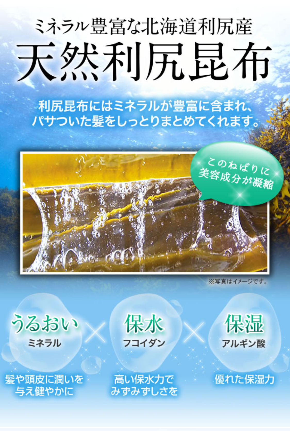 ミネラル豊富な北海道利尻産天然利尻昆布