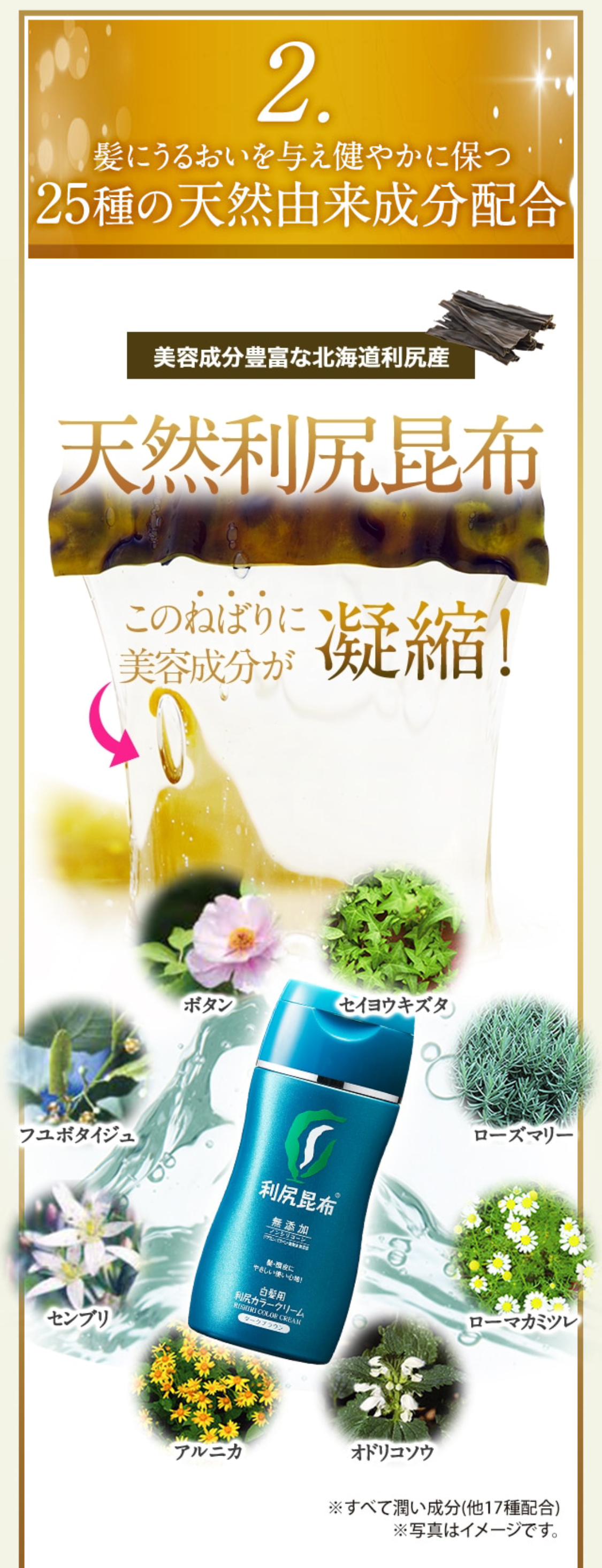 2. 髪と頭皮にうるおいを与え健やかに保つ25種の天然由来成分配合
美容成分豊富な北海道利尻産 天然利尻昆布 このねばりに美容成分が凝縮！
ボタン セイヨウキズタ フユボタイジュ ローズマリー
センブリ ローマカミツレ アルニカ オドリコソウ ※すべて潤い成分(他17種配合) ※写真はイメージです。