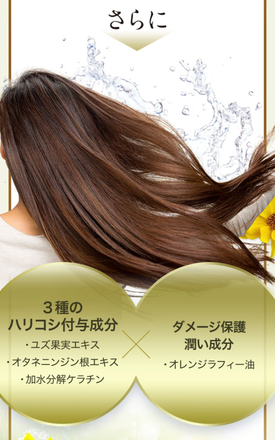 3種のハリコシ付与成分 ・ユズ果実エキス ・オタネニンジン根エキス ・加水分解ケラチン × ダメージ保護潤い成分 ・オレンジラフィー油