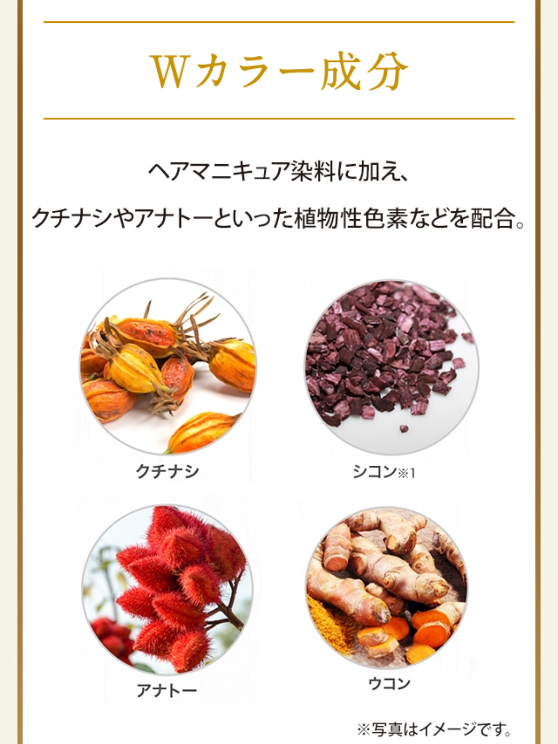 + Wカラー成分
ヘアマニキュア染料に加え、クチナシやアナトーといった植物性色素などを配合。 クチナシ シコン※1 アナトー ウコン ※写真はイメージです。