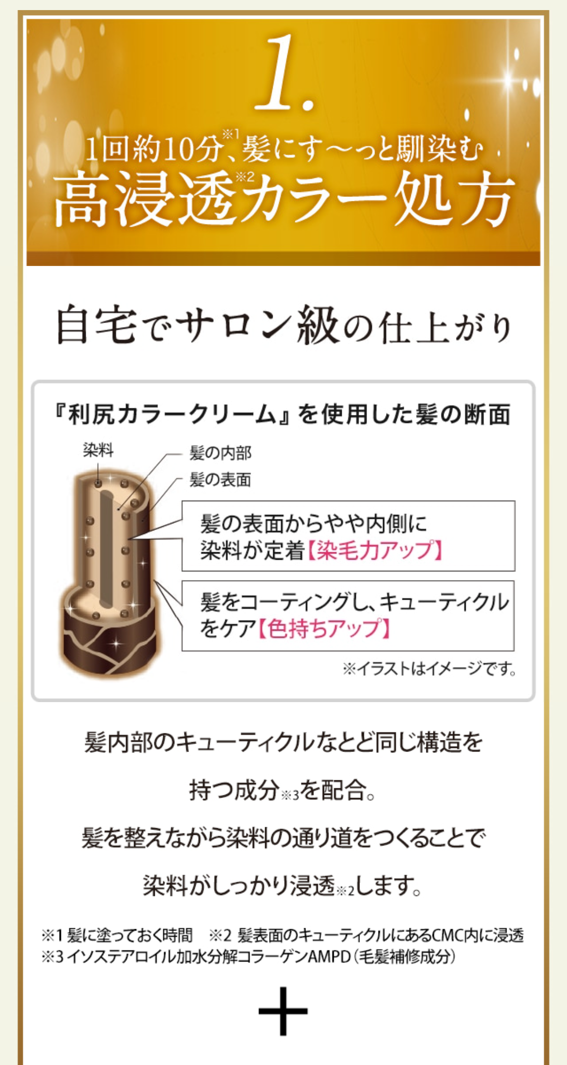1. 1回約10分※1、髪にす～っと馴染む高浸透※2カラー処方
自宅でサロン級の仕上がり 『利尻カラークリーム』を使用した髪の断面 髪の表面からやや内側に染料が定着【染毛力アップ】 髪をコーティングし、キューティクルをケア【色持ちアップ】 ※イラストはイメージです。 髪内部のキューティクルなとど同じ構造を持つ成分※3を配合。髪を整えながら染料の通り道をつくることで染料がしっかり浸透※2します。 ※1 髪に塗っておく時間　※2  髪表面のキューティクルにあるCMC内に浸透　※3 イソステアロイル加水分解コラーゲンAMPD（毛髪補修成分）