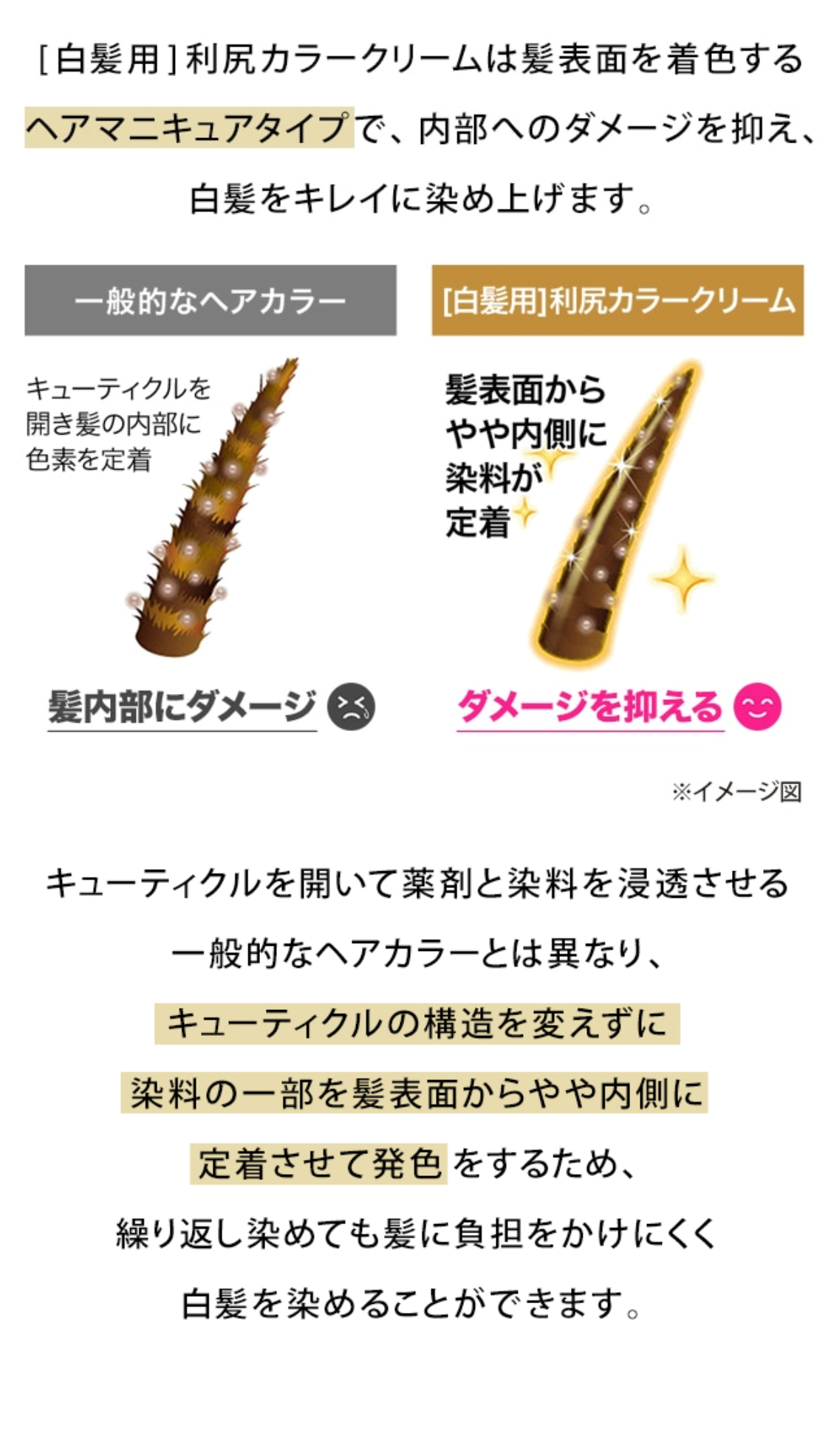 [白髪用]利尻カラークリームは髪表面を着色するヘアマニキュアタイプで、内部へのダメージを抑え、白髪をキレイに染め上げます。
一般的なヘアカラー キューティクルを開き髪の内部に色素を定着 髪内部にダメージ [白髪用]利尻カラークリーム 髪表面からやや内側に染料が定着 ダメージを抑える ※イメージ図
キューティクルを開いて薬剤と染料を浸透させる一般的なヘアカラーとは異なり、キューティクルの構造を変えずに染料の一部を髪表面からやや内側に定着させて発色をするため、繰り返し染めても髪に負担をかけにくく白髪を染めることができます。